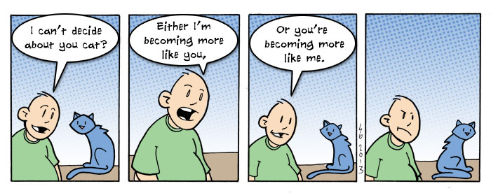 Cats Cats
