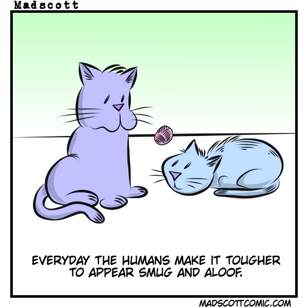 Smug and Aloof