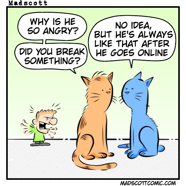 A small, angry person is yelling and flailing their arms in frustration. In the foreground, two calm cats sit next to each other, watching him. One cat asks, “Why is he so angry? Did you break something?” The other replies, “No idea, but he’s always like that after he goes online.” The background is simple and uncluttered, keeping focus on the contrast between the angry character and the relaxed cats.
